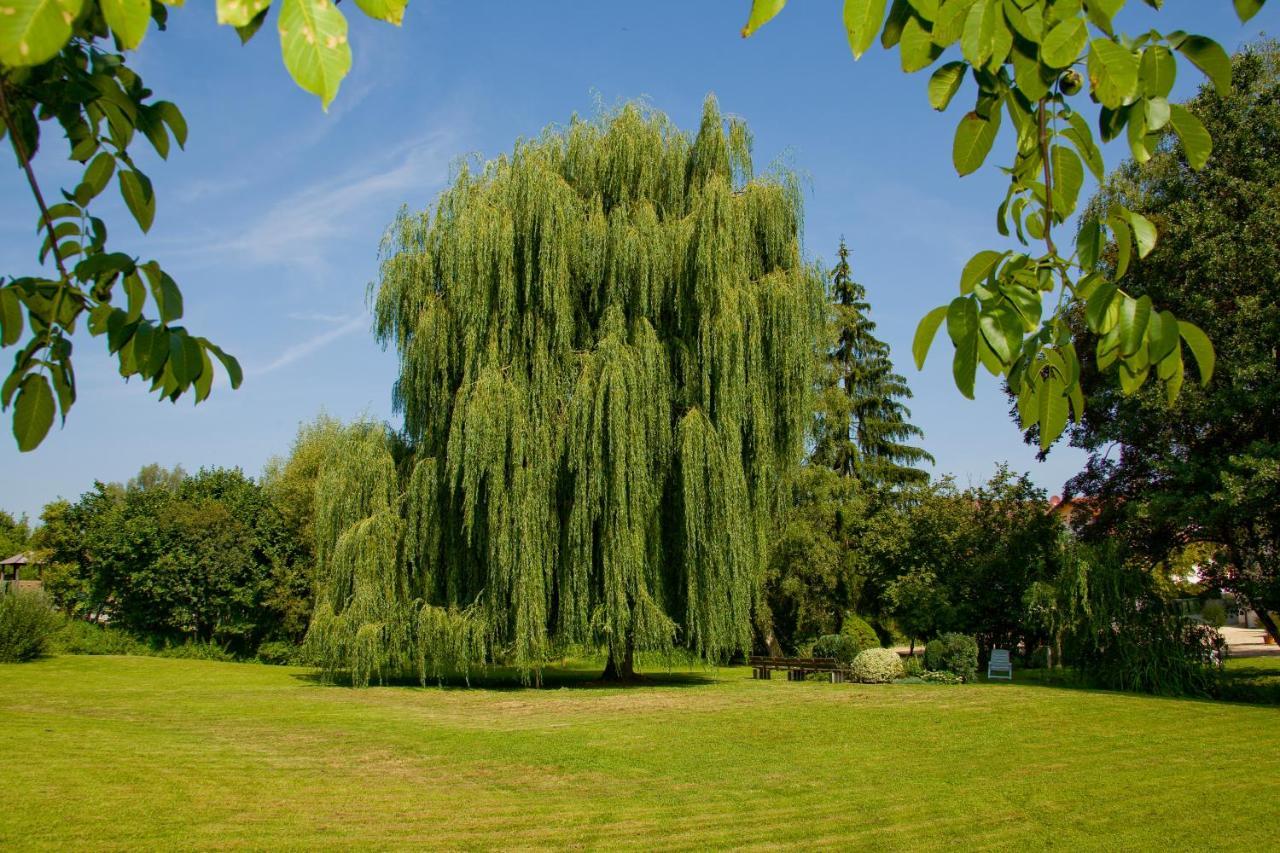 Schoenenberger Hof Orsingen-Nenzingen ภายนอก รูปภาพ