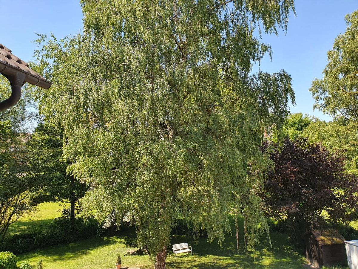 Schoenenberger Hof Orsingen-Nenzingen ภายนอก รูปภาพ